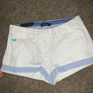 brand new southern marsh